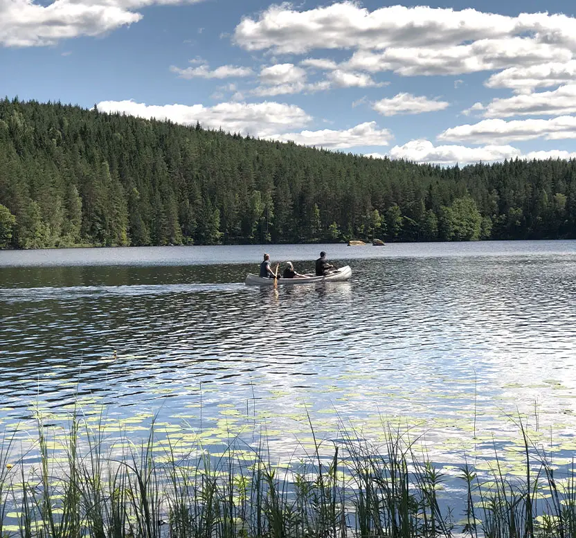 Aktivitet under konferens